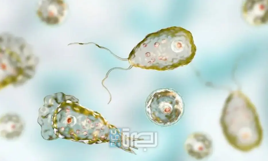 63310af7 69d1 489c Ba13 5a7396e8ede1