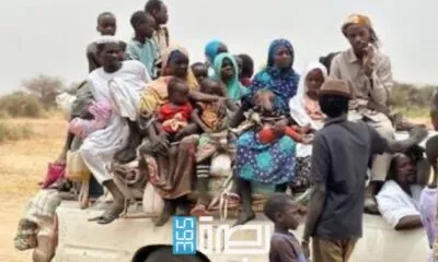 36e2a981 37af 413f 9834 511f4df6c425