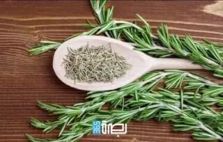 86e15f07 7367 46b9 91b0 5e305bff7709