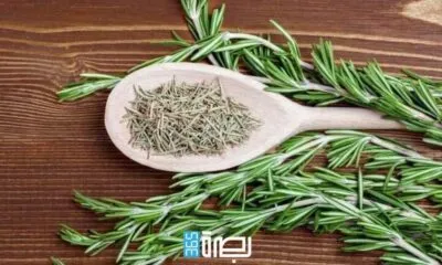 86e15f07 7367 46b9 91b0 5e305bff7709