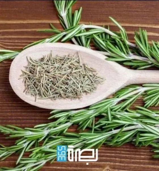 86e15f07 7367 46b9 91b0 5e305bff7709