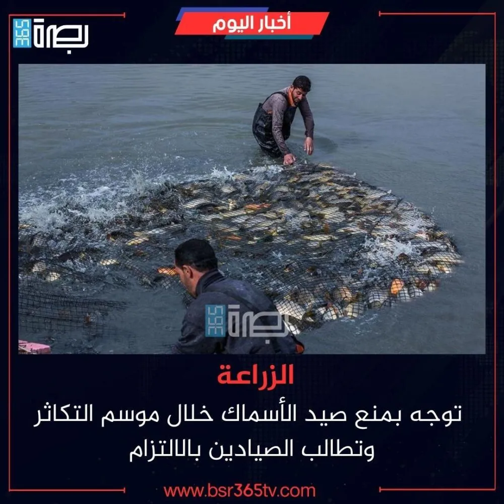 Img 20260111 Wa00874140192745612366843